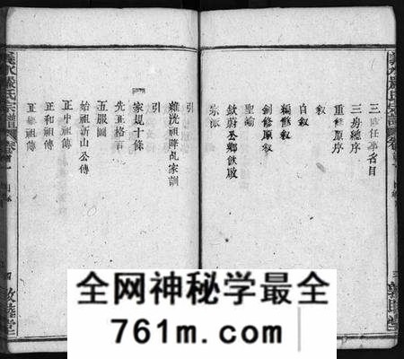 湖北严氏族谱-严氏宗谱 [27卷,首4卷](别名：Yan Shi Zong Pu、义水严氏宗谱、严氏宗谱).pdf电子版