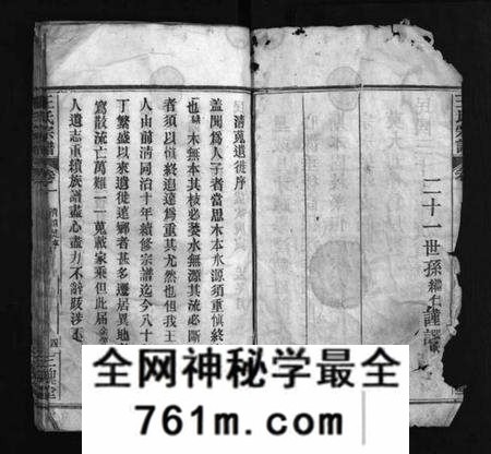 湖北王氏族谱-王氏族谱 [8卷](别名：Wang Shi Zu Pu、王氏宗谱).pdf电子版