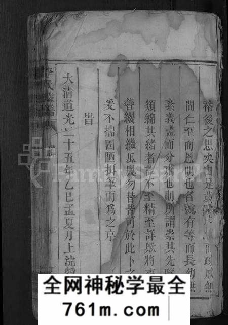 湖南李氏族谱-李氏族谱 [9卷,首末各1卷].pdf电子版