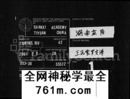 湖南王氏族谱-王氏家谱 [不分卷].pdf电子版