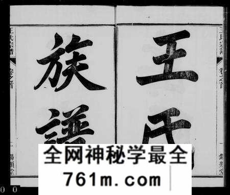 江苏王氏族谱-王氏族谱 [26卷, 首1卷](别名：岳阳王氏宗谱).pdf电子版