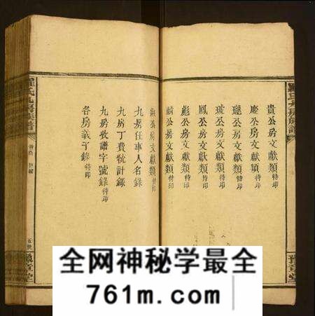 湖南罗氏族谱-罗氏九房族谱.pdf电子版