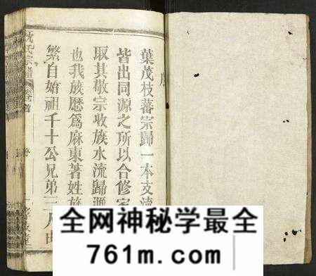 湖北沈氏族谱-沈氏宗谱.pdf电子版