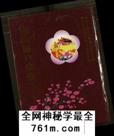 湖北梅氏族谱-梅氏琅户宗谱.pdf电子版