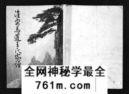 江苏王氏族谱-淮安马逻王氏家谱 [不分卷](别名：Huai An Ma Luo Wang Shi Jia Pu、淮安马逻王氏家谱).pdf电子版