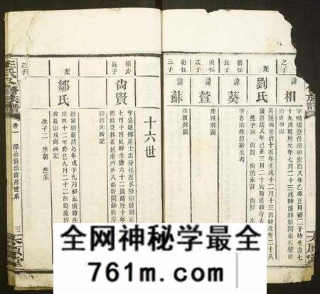 湖南王氏族谱-王氏八修族谱.pdf电子版