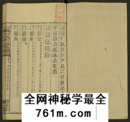 湖南尹氏族谱-井田尹氏六修族谱 [世系4卷,行传20卷,及卷首9,末3].pdf电子版