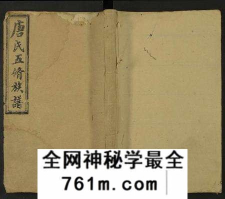 湖南唐氏族谱-唐氏五修族谱 [残卷].pdf电子版