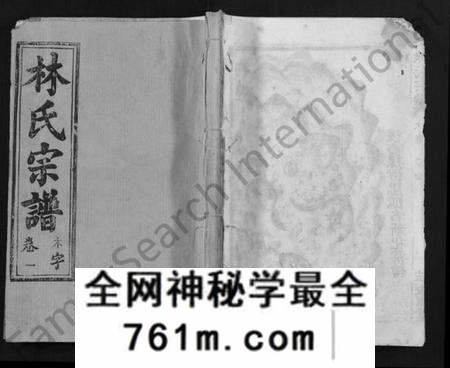 湖北林氏族谱-林氏宗谱 [14卷](别名：Lin Shi Zong Pu).pdf电子版