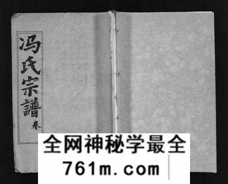 湖北冯氏族谱-冯氏宗谱 [分支分卷](别名：Feng Shi Zong Pu、冯氏九修续修宗谱、冯氏宗谱).pdf电子版