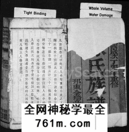 江苏陈氏族谱-陈氏族谱 [8卷](别名：维扬江都陈氏族谱).pdf电子版