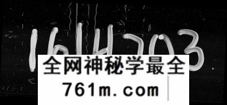 湖南尹氏族谱-尹氏八修族谱 [39卷,首末各1卷].pdf电子版