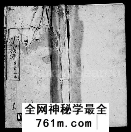 湖南柳氏族谱-柳氏族谱 [27卷,首3卷,末1卷].pdf电子版