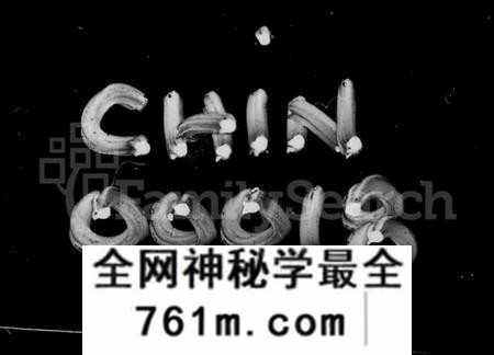 湖南匡氏族谱-匡氏五修族谱 [38卷,首4卷].pdf电子版