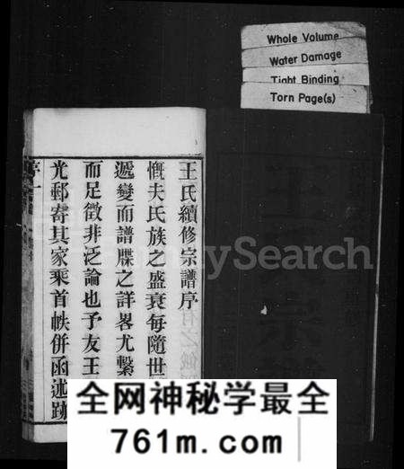 江苏王氏族谱-王氏宗谱 [10卷](别名：毘陵王氏续修宗谱).pdf电子版