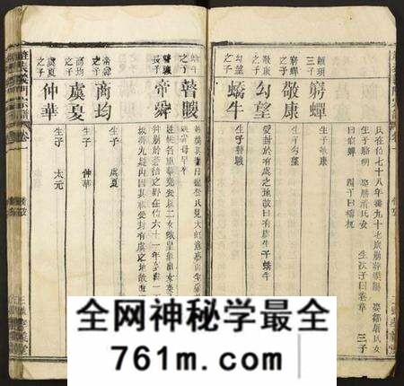 湖北陈氏族谱-[陈氏]旌表义门宗谱.pdf电子版