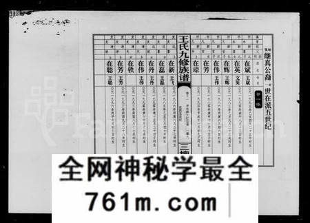 湖南王氏族谱-王氏九修族谱 [45卷,首2卷].pdf电子版