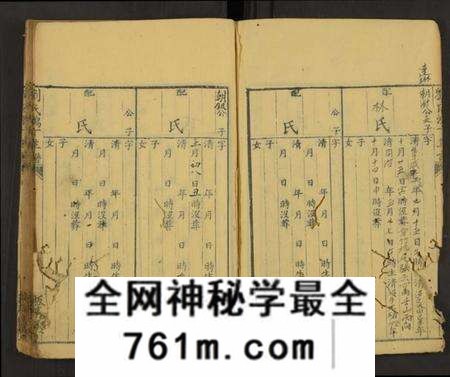 中国刘氏族谱-刘氏鸿丁草谱[总卷数不详](别名：Liu Shi Hong Ding Cao Pu、刘氏鸿丁草谱).pdf电子版
