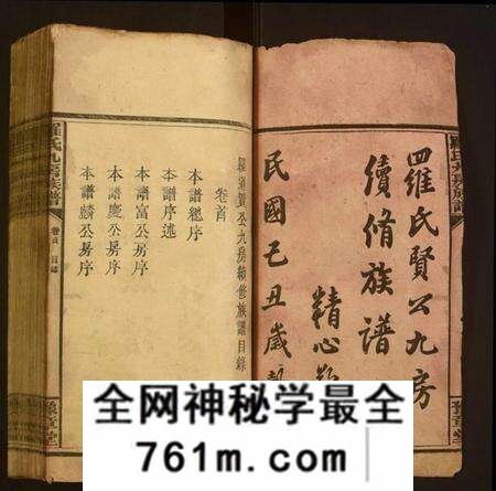 湖南罗氏族谱-罗氏九房族谱.pdf电子版
