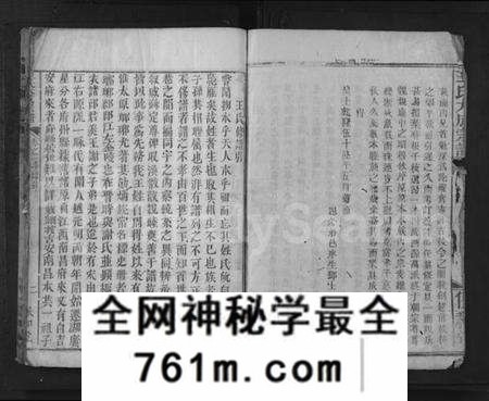 湖北王氏族谱-王氏族谱 [11卷](别名：王氏大成宗谱).pdf电子版