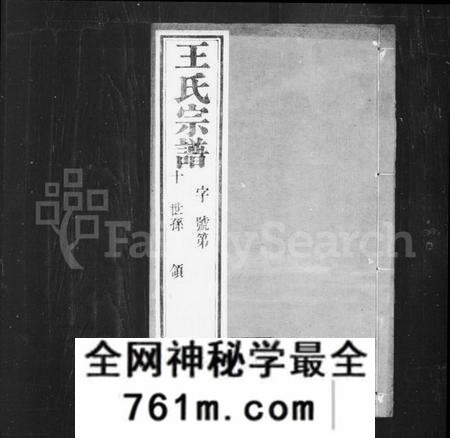 江苏王氏族谱-延政王氏宗谱 [14卷,首1卷](别名：王氏宗谱).pdf电子版