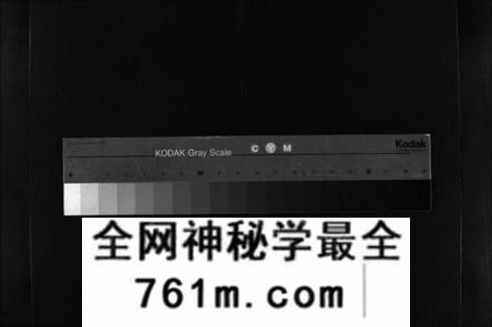 湖南谢氏族谱-谢氏七修族谱 [39卷,首1卷].pdf电子版
