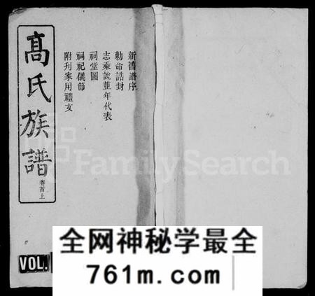 湖南高氏族谱-高氏族谱 [25卷,首3卷].pdf电子版