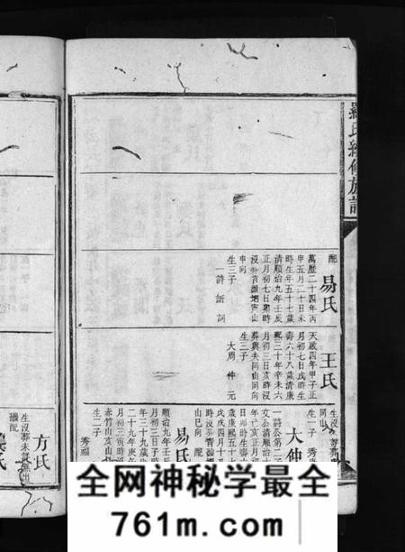 湖南罗氏族谱-罗氏家乘 [9卷,含首1卷].pdf电子版