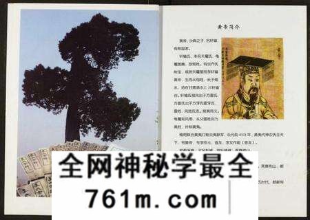湖北李氏族谱-李氏宗谱.pdf电子版