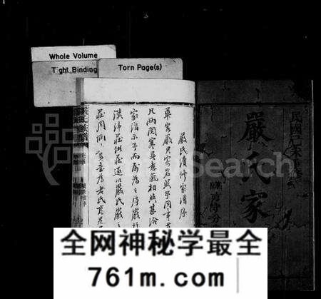 湖南严氏族谱-严氏族谱 [不全].pdf电子版