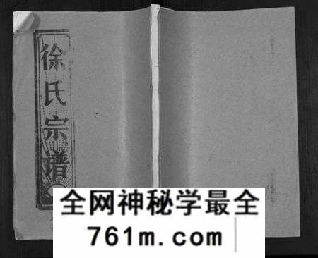 湖北徐氏族谱-徐氏宗谱[37卷].pdf电子版