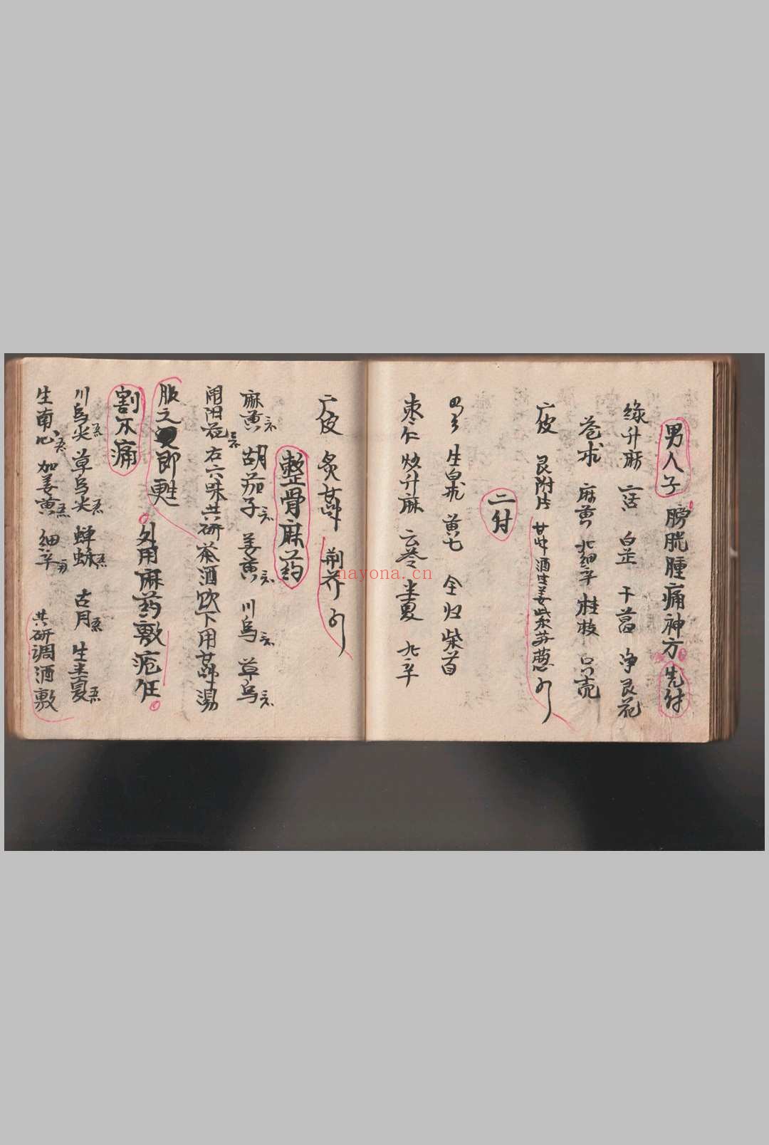 《灵仙神》水师自记