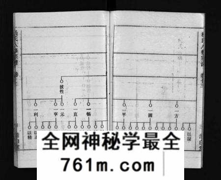 湖北杨氏族谱-浠川杨氏大分八修宗谱 [53卷](别名：杨氏八修宗谱、Xi Chuan Yang Shi Da Fen Ba Xiu Zong Pu).pdf电子版