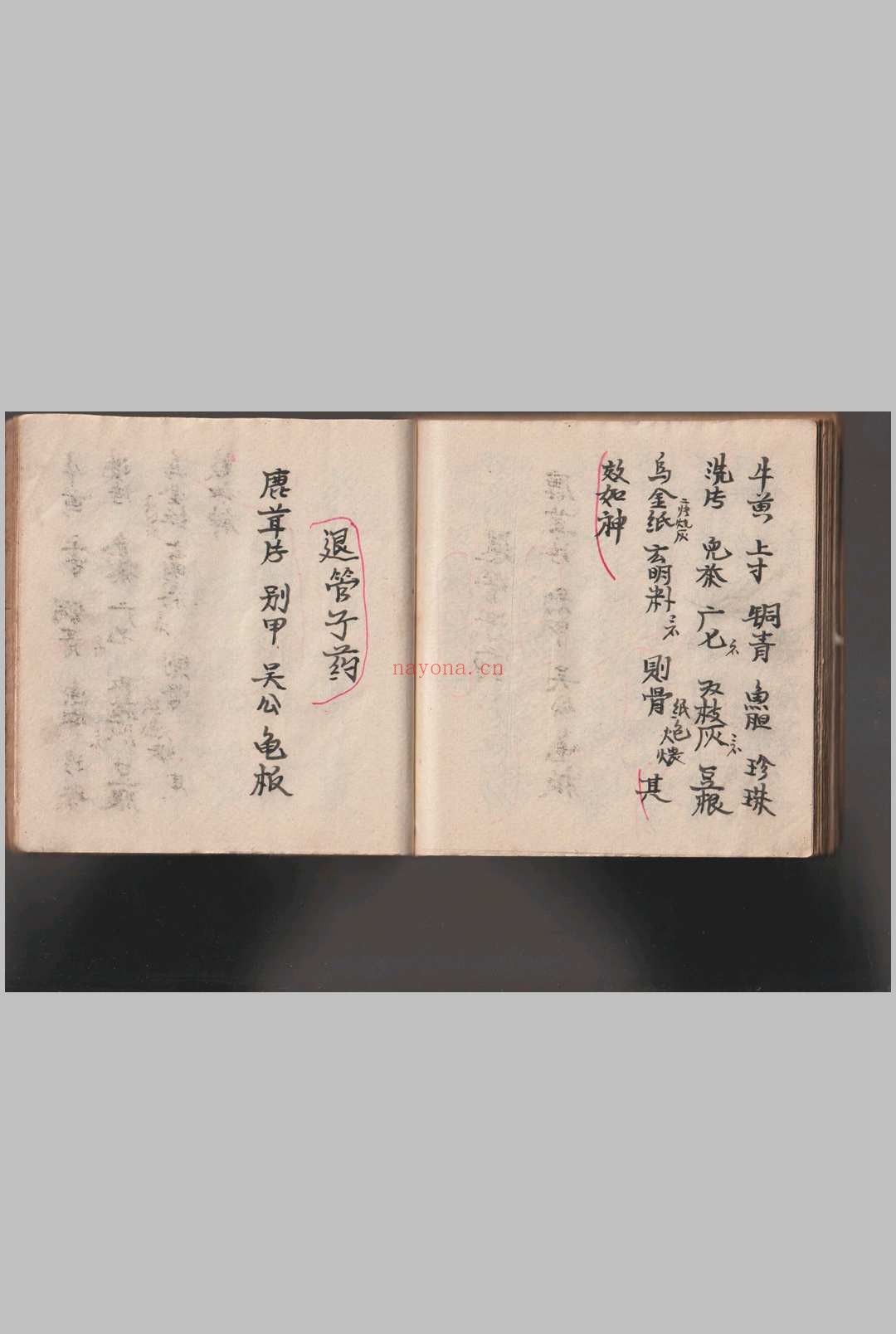 《灵仙神》水师自记