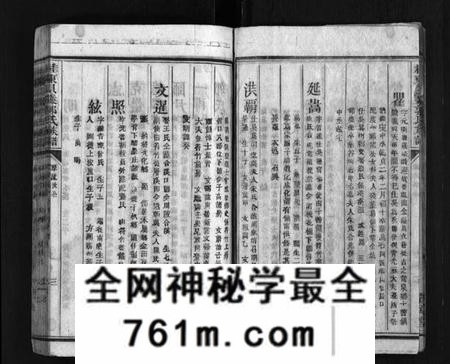 湖南郭氏族谱-桂东郭氏族谱[10卷].pdf电子版