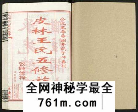 湖南王氏族谱-皮林王氏五修族谱 [26卷].pdf电子版