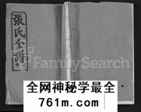 湖北张氏族谱-张氏全谱 [30卷](别名：Zhang Shi Zong Pu).pdf电子版