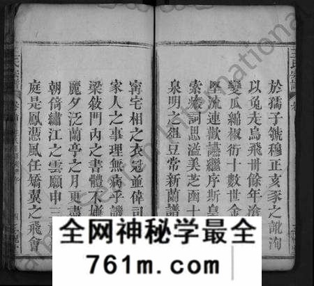 湖北王氏族谱-王氏宗谱 [8卷,首1卷](别名：义水王氏宗谱、Wang Shi Zong Pu).pdf电子版