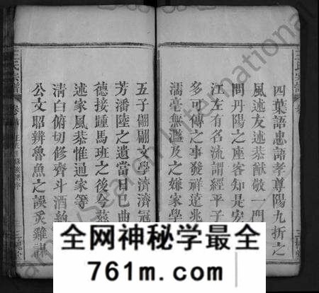 湖北王氏族谱-王氏宗谱 [8卷,首1卷](别名：义水王氏宗谱、Wang Shi Zong Pu).pdf电子版
