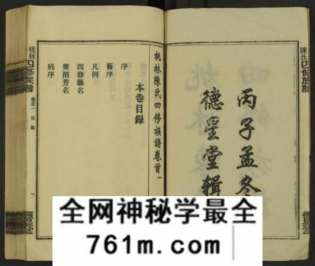 湖南陈氏族谱-桃林陈氏四修族谱 [残卷].pdf电子版