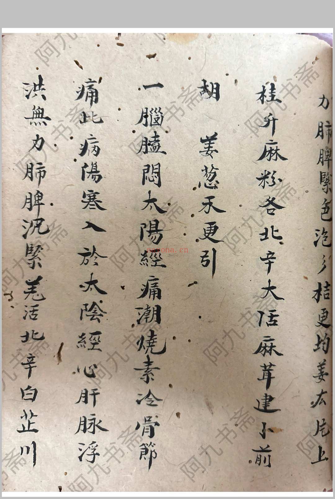 衣钵秘传 （医） 郑惠寿