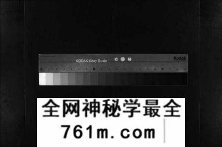 湖北叶氏族谱-叶氏宗谱 [10卷](别名：Ye Shi Zong Pu、叶氏宗谱).pdf电子版