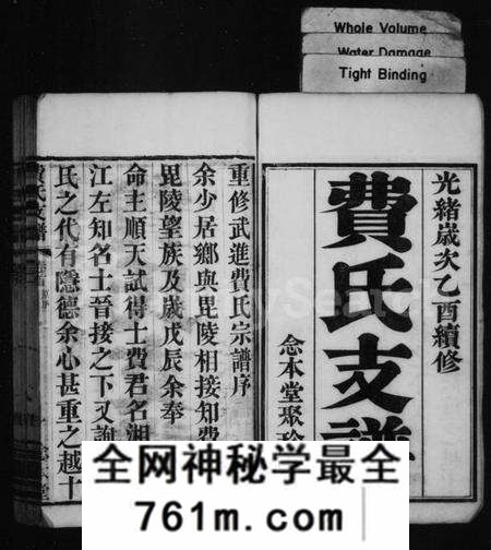 江苏费氏族谱-费氏支谱 [10卷,首末各1卷](别名：琅琊费氏武进支谱).pdf电子版