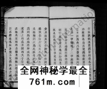 湖南杨氏族谱-杨氏原籍老谱 [卷数杂异].pdf电子版
