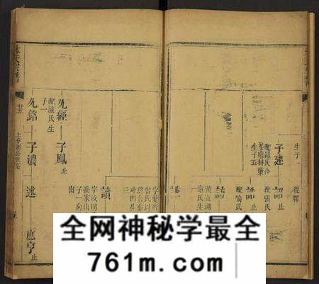 湖北林氏族谱-林氏宗谱[残卷](别名：Lin Shi Zong Pu).pdf电子版
