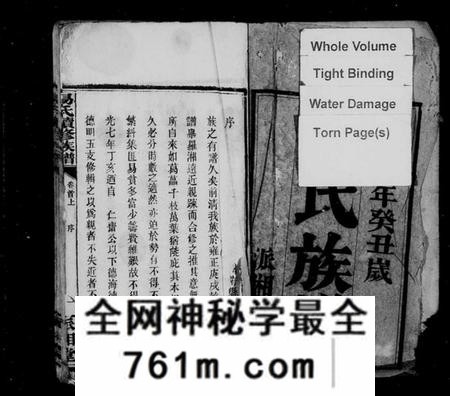 湖南易氏族谱-易氏续修族谱 [23卷,首3卷].pdf电子版
