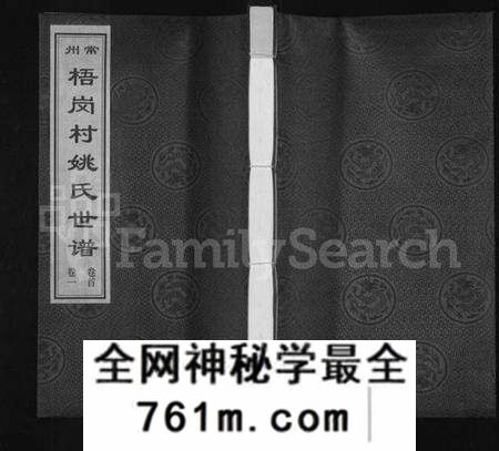 江苏姚氏族谱-常州梧岗村姚氏世谱 [12卷,及卷首](姚氏世谱).pdf电子版