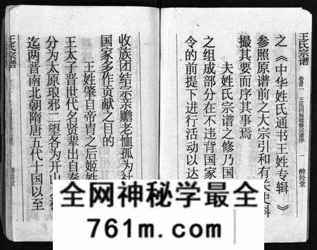 湖北王氏族谱-王氏宗谱 [12卷,首3卷](别名：Wang Shi Zong Pu).pdf电子版