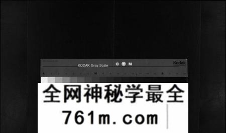 湖南杨氏族谱-醴南太障杨氏四修族谱 [50卷].pdf电子版