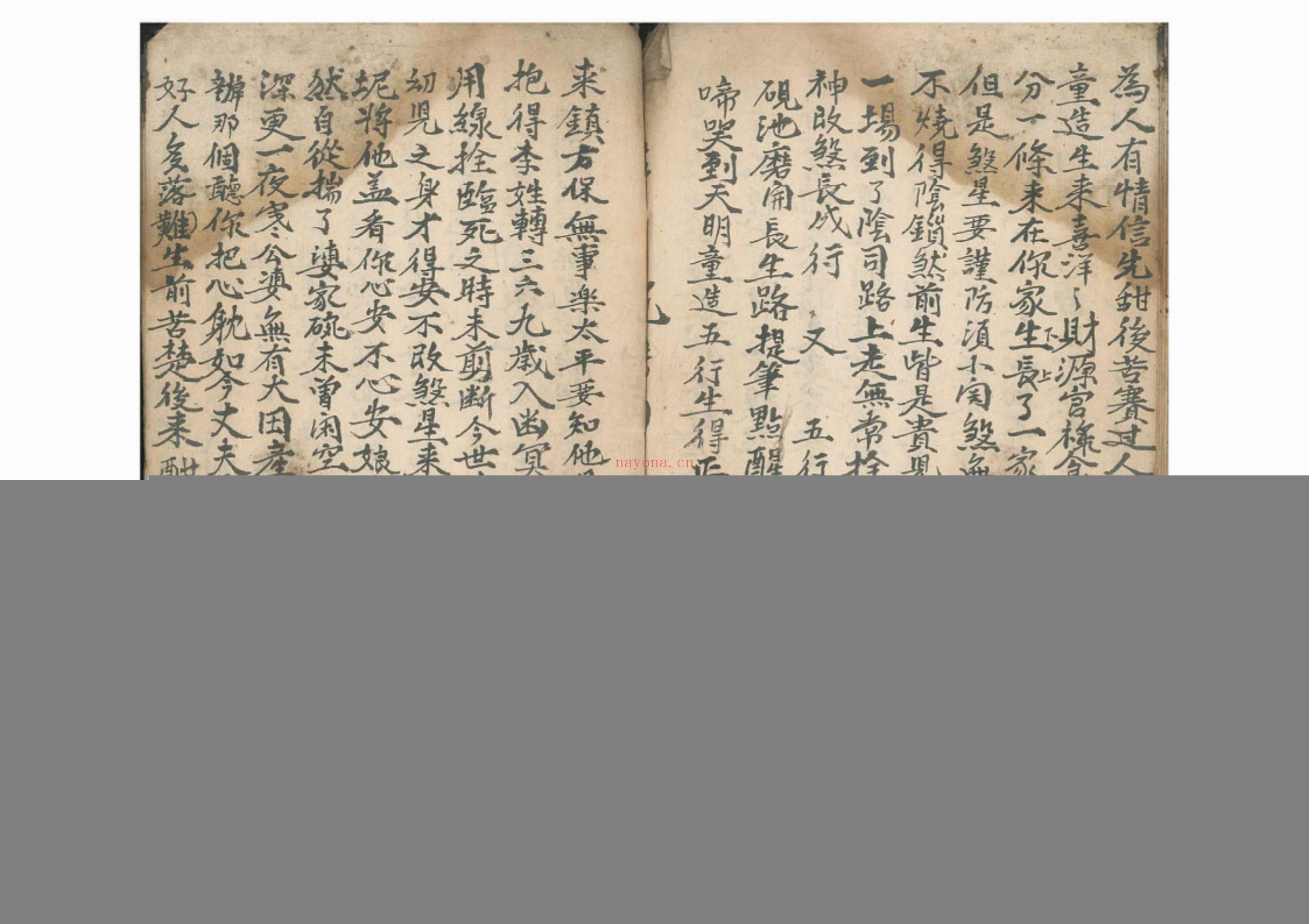命理律条